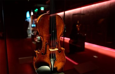 Violin fits into a single piece of human hair