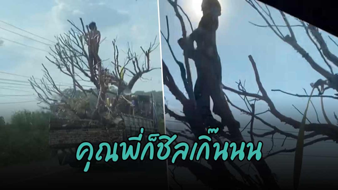 แหม ๆ พี่เขาก็ยืนเด่นเป็นพระเอก MV เลยน้า