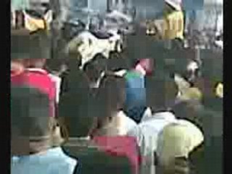 Tunis2008:bengerdanne   inchala  zina