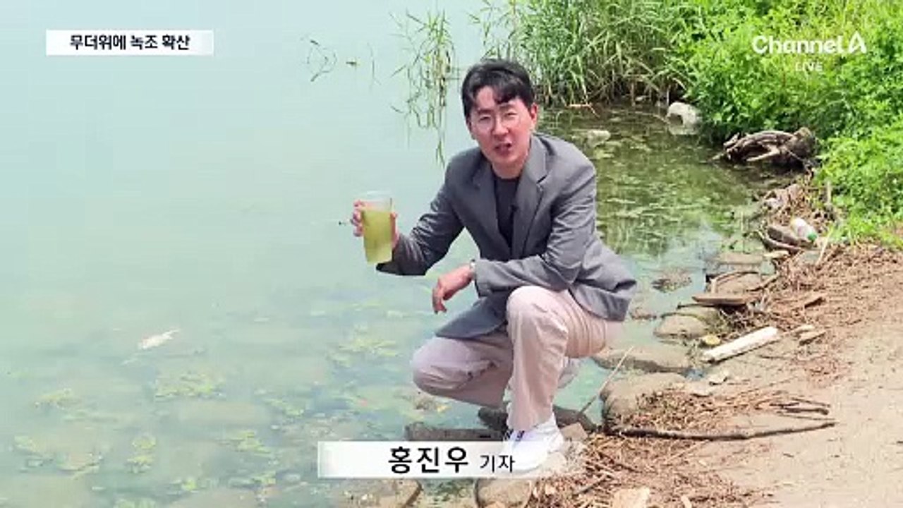 한 달 빨리 찾아온 녹조…무더위에 급속 확산