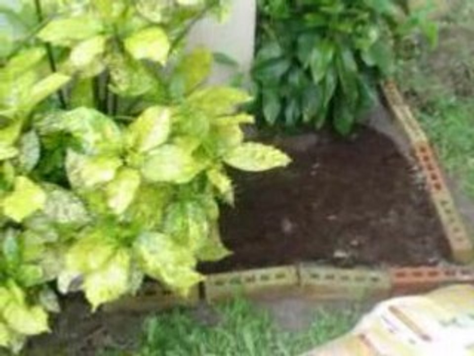 Jardin les plantations 10mai08