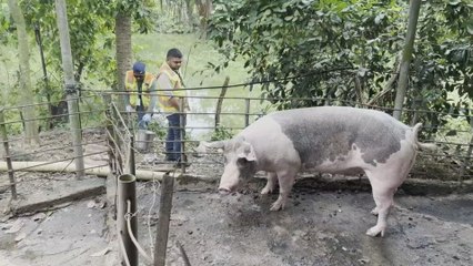Tres contaminantes afectan al río La Villa, advierte el Ministerio de Salud