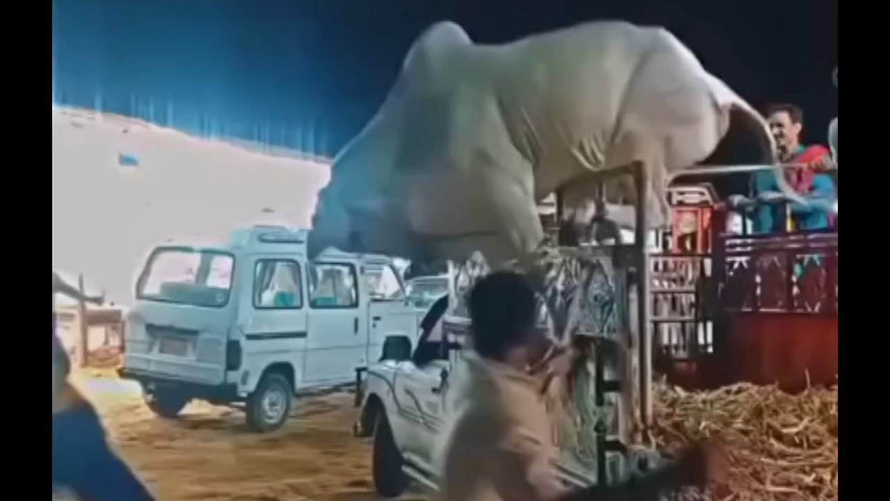 Eid UL adha 2k25
