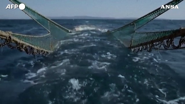 UK, Il film Ocean racconta la pesca a strascico e il Paese si muove verso il divieto