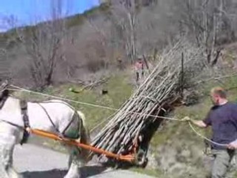 Chantier-Ecole-de Montdenis-2008-5