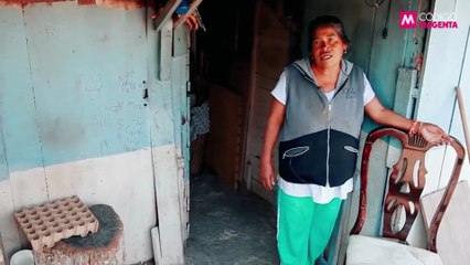 Círculo Magenta: El regreso del caso Lozoya