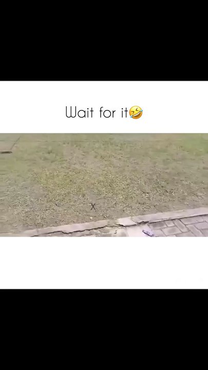 funny video comedy