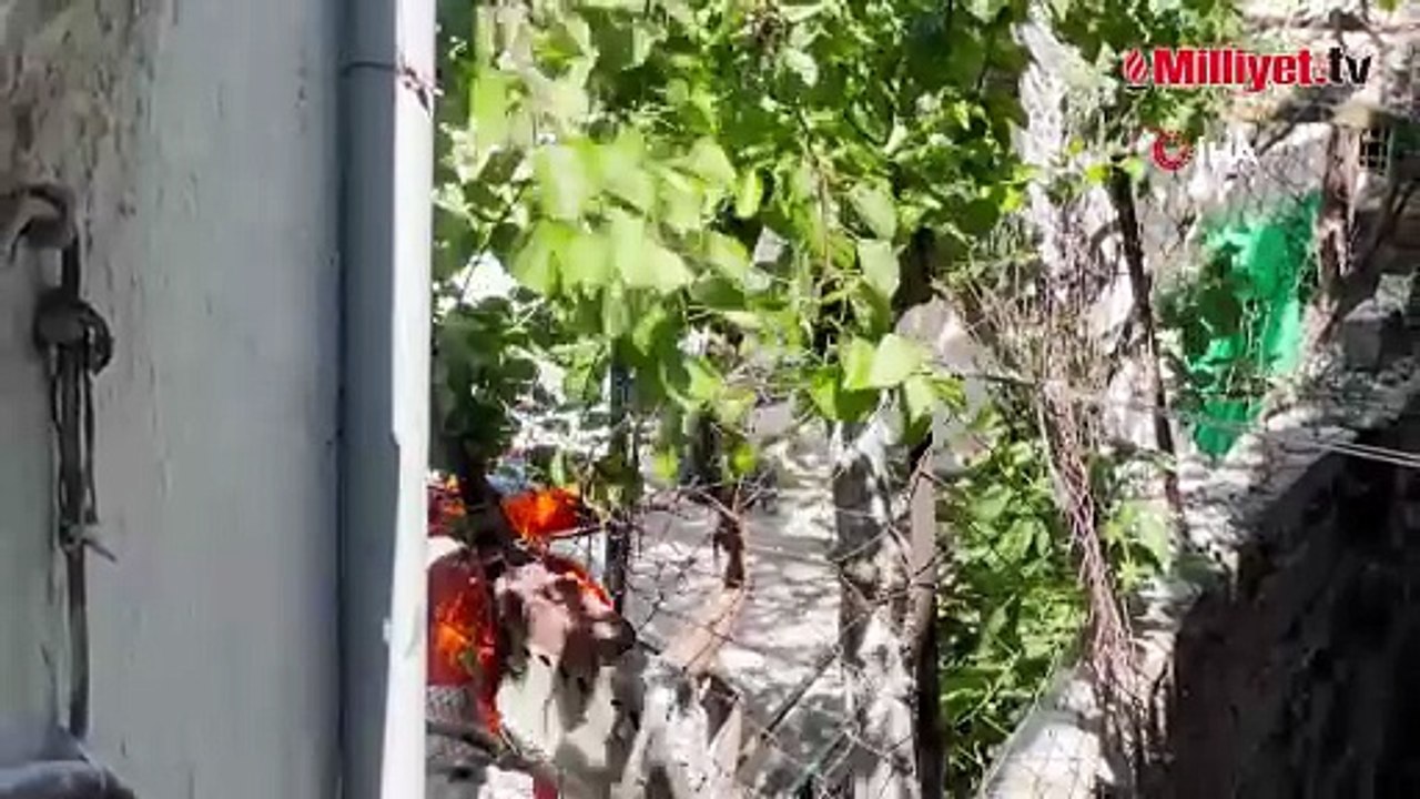 Korkunç olay! Gecekondunun bahçesinde halıya sarılı ceset bulundu: Polisi arayarak itiraf ettiler