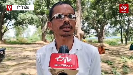 गिरिडीह के तुकतुको गांव में मन को मोह रहे हैं घने जंगल, ग्रामीणों की सजगता से हरा-भरा हुआ इलाका