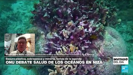 Día Mundial de los Océanos: ¿estamos a tiempo de salvarlos?