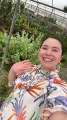 These Plants are Optimized to Thrive in the South