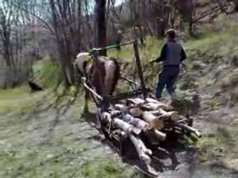 Chantier-ecole-de-Montdenis-2008-6
