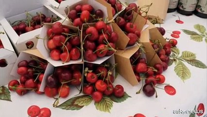 Le Vie del Giubileo: a Celleno la terza tappa