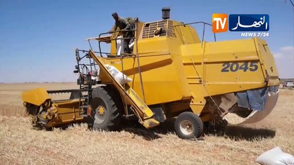 النعامة:  الشيخ عودة.. فلاح شاب جمع بين التحدي ووصية الأجداد