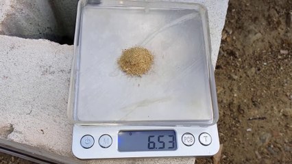 Smelting the GOLD  Melting GOLD Extracted from Rivers And Streams at home