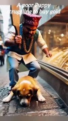 A poor Puppy wants to buy gold