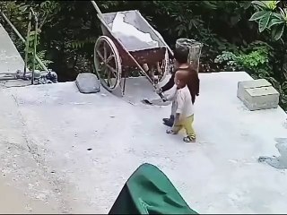 Trahi par son propre petit frère... ahaha