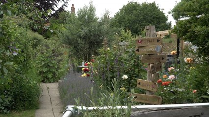 Award-winning Faversham community garden helps locals with mental health and loneliness