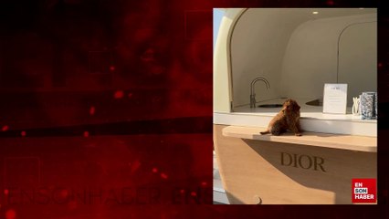 Nesrin Cavadzade köpeğiyle tatile çıktı