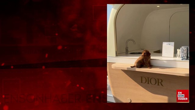 Nesrin Cavadzade köpeğiyle tatile çıktı