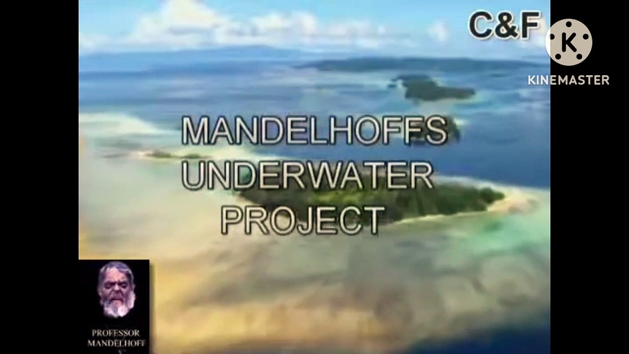 Amazing real mermaids of mako island exposed low pitch
