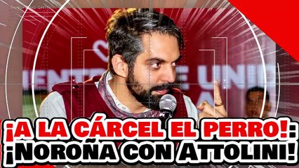 🔥🚨¡A LA CÁRCEL EL PERRO! ¡NO A LAS DISCULPAS! ¡NOROÑA DEFIENDE a ATTOLINI por ATAQUE de DERECHANGO!