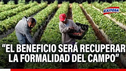 Nueva Ley Agraria: El beneficio más grande será recuperar la formalidad del campo, afirma Lozada