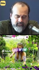 Fall in Love with Books || Acharya Prashant