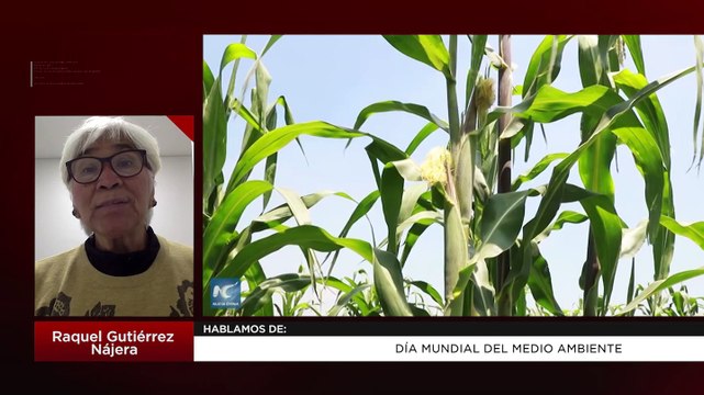 Día Mundial del Medio Ambiente | Raquel Gutiérrez Nájera