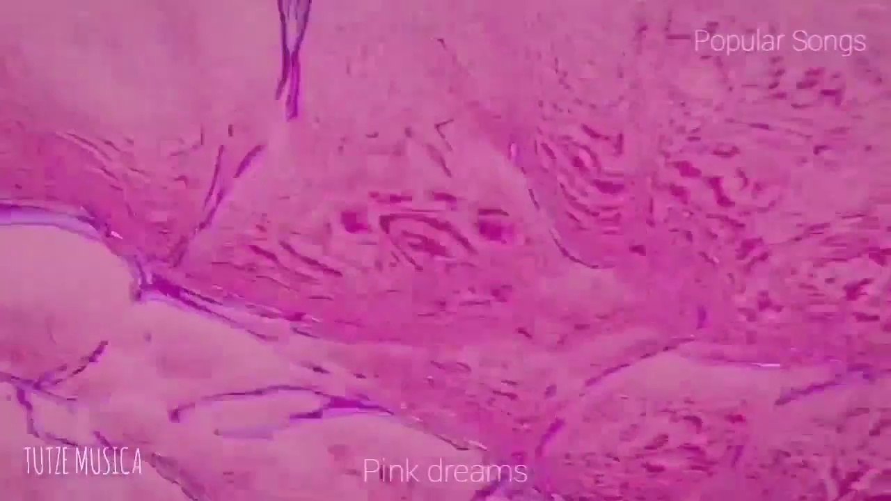 Pink dreams.