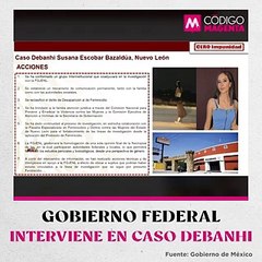 Gobierno federal interviene en caso Debanhi