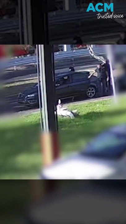 Motorcyclist left critical after wild alleged street race in Noble Park