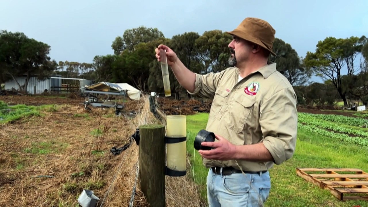 Rain brings relief and hope to farmers in drought-stricken Victoria ...