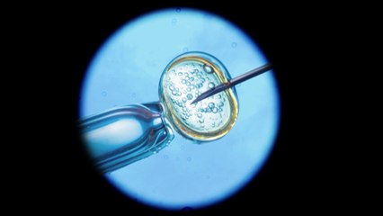 WA woman unable to legally undergo IVF in home state became 'reproductive refugee'