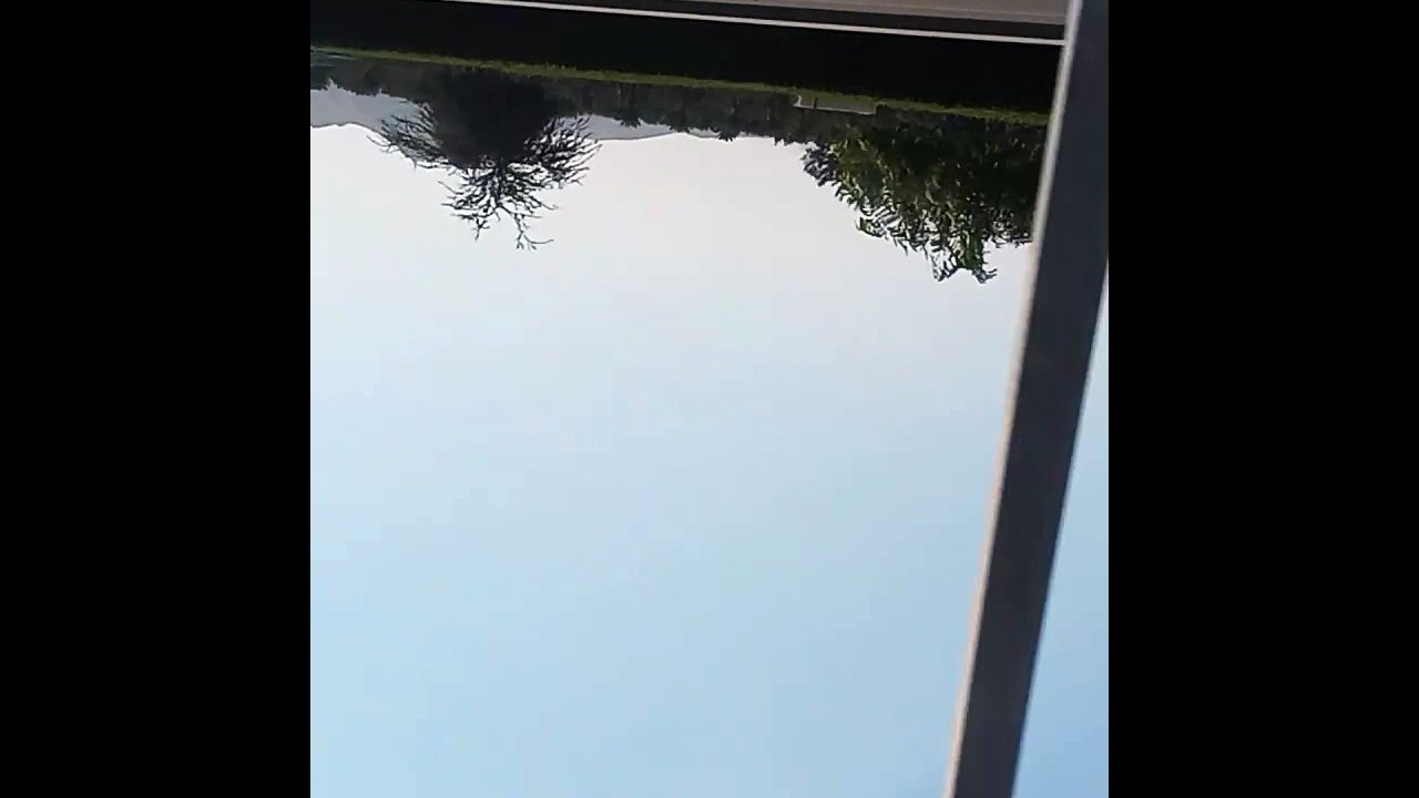 views