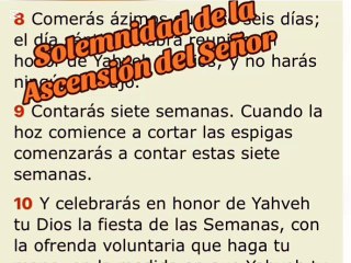 Solemnidad de la Ascensión del Señor - Padre Juan Molina