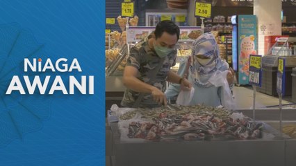 Semakan, perluasan cerminan pendekatan pragmatik kemampanan fiskal