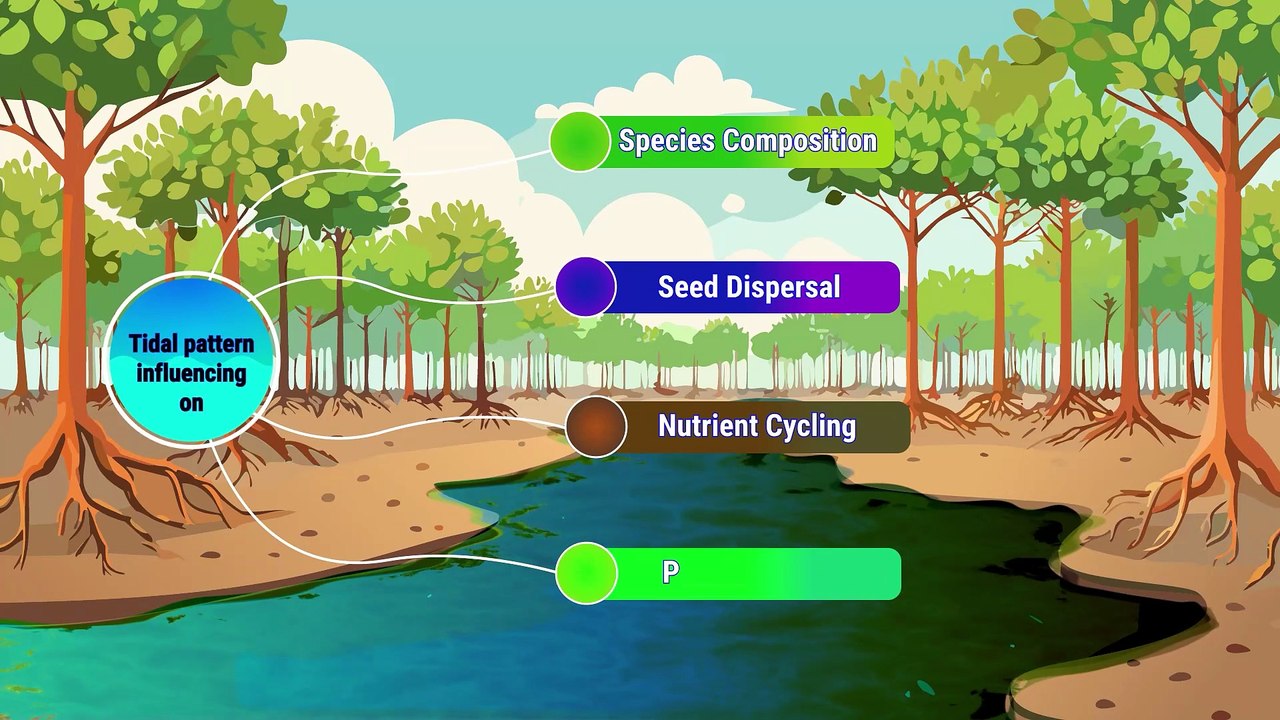Advanced Course Video 12