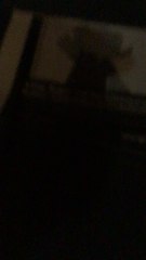 You’ve got to make these characters in the comedy world creator based off the TV show Babar and the adventures badou In wrapper, off-line flash themes  and rapper, online diamond