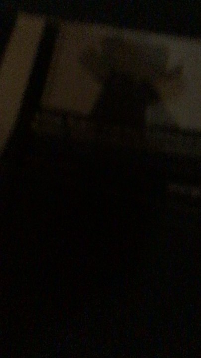 You’ve got to make these characters in the comedy world creator based off the TV show Babar and the adventures badou In wrapper, off-line flash themes  and rapper, online diamond