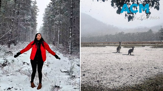 'Magical' first snowfall blankets NSW towns as Aussies rejoice