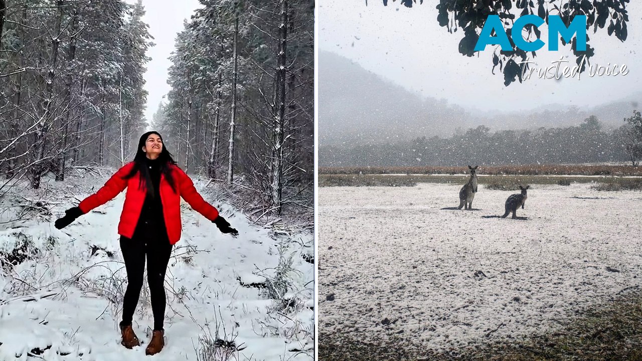 'Magical' first snowfall blankets NSW towns as Aussies rejoice