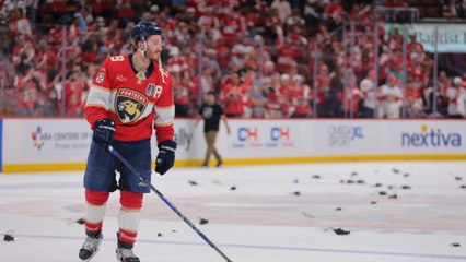 Panthers Players' Aggressive Tactics: A Closer Look