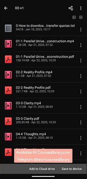 Nero Knowledge - The Awakened Entrepreneurs Blueprint 2.0