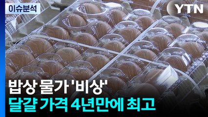 [뉴스나우] 밥상물가 '비상'...관리 나선 정부, 인상행렬 멈출까? / YTN