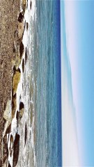 Best Road Trip on the Pacific Coast Hwy, California