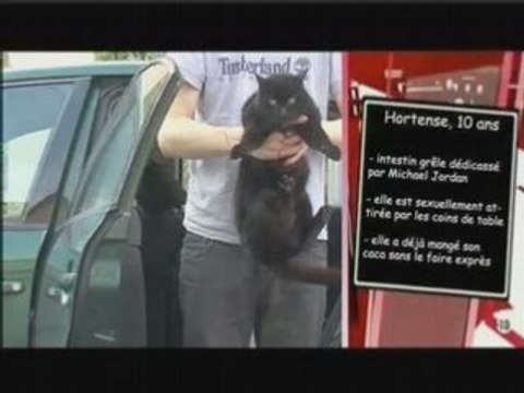 parodie next (version zoo...)