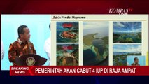 Menteri ESDM Ceritakan Kondisi Pulau Piaynemo dan Hasil Kunjungannya ke Pulau Gag
