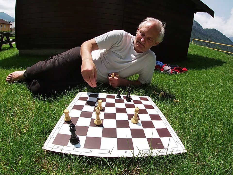 Fragments of Magyar Sakkvilag 2024