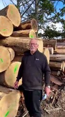 Poplar Wood Testimonial – Client Review | AtoZ Wood Company